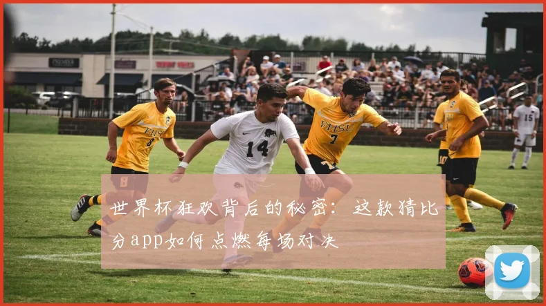 世界杯狂欢背后的秘密：这款猜比分app如何点燃每场对决