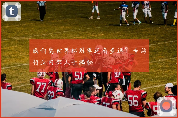我们离世界杯冠军还有多远？专访行业内部人士揭秘