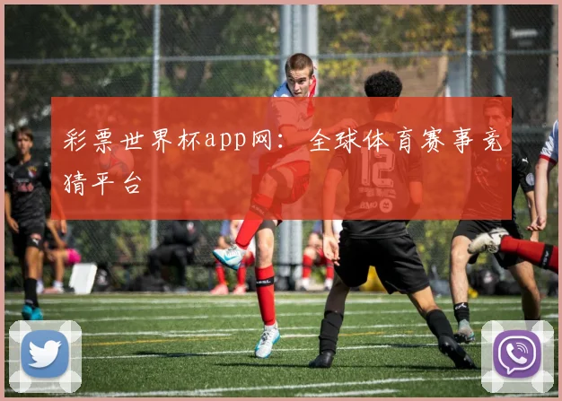 彩票世界杯app网：全球体育赛事竞猜平台