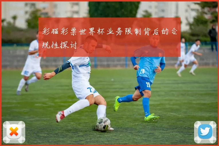 彩猫彩票世界杯业务限制背后的合规性探讨