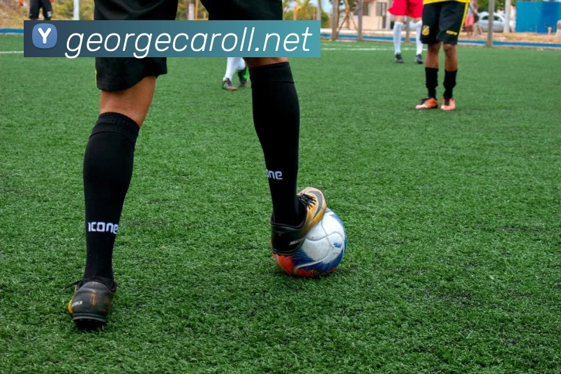 米兰app登录官网APP 封面图